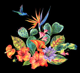 Plakaty  Akwarela Kaktus, tropikalne kwiaty, koliber