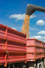 Grain loading on a trailer - 9790