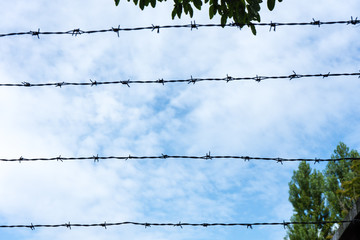 Barbed wire fence against the blue cloudy sky