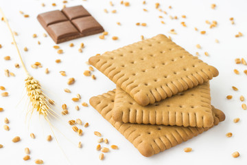 Chocolate cookies, a slice of chocolate and wheat spikes on  white background.