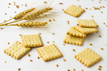 Cookies of a square shape on  white background. Spikes and grains of wheat