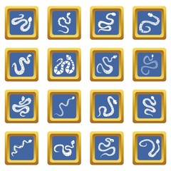 Snake icons set blue