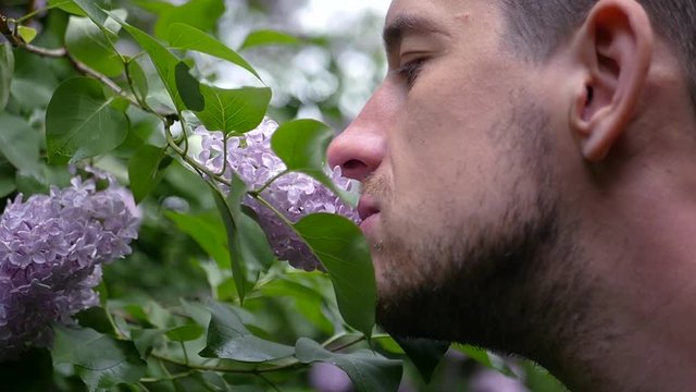 Romantic man with a beard sniffing in a park lilac flowers. slow motion, 1920x1080, full hd