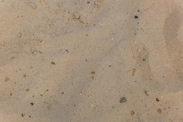 Beach sand with some small stones