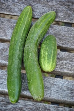 green cocumber