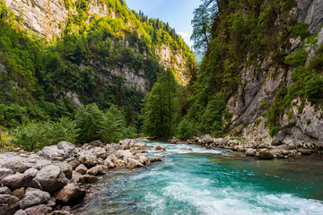 Fototapeta na wymiar The mountain river flows in gorge