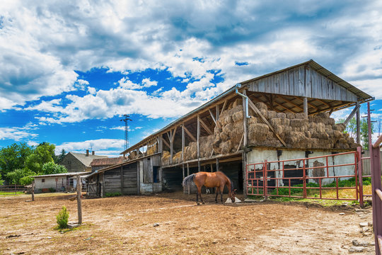 Horses on the Farm 
