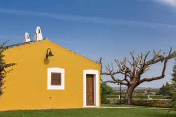 Yellow house on a blue sky with a green garden on a colorful scene