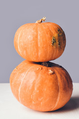 Two stacked mini pumpkins on grey background. Studio shot of orange pumpkins on wooden table. Copy space for the text