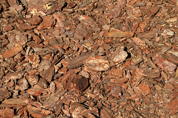 Wood bark chips natural background