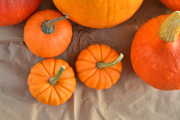 Orange pumpkins top view