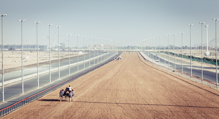 Camel racing track in Dubai
