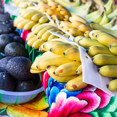 Square photo of bananas and avocado's displayed together in a colorful arrangement at a Farmers Market fruit stand.