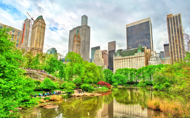 Central Park with the Pond and Manhattan Skyline - New York City