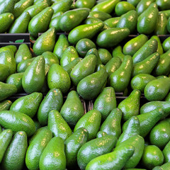 Big bunch of perfect avocado at market