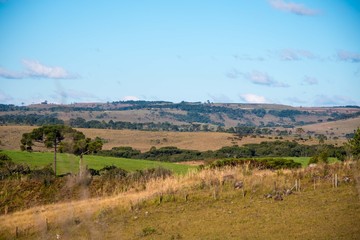 Naklejka premium Coxilha Rica