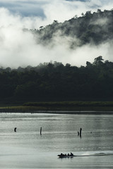 Naklejka premium view of tropical forest field in Thailand