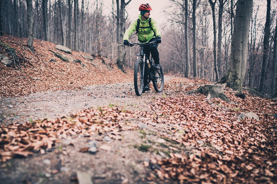 Mountain biker riding on trail in autumn woods