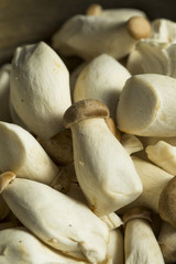 Raw Organic Baby King Oyster Mushrooms