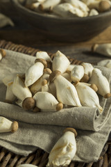 Raw Organic Baby King Oyster Mushrooms