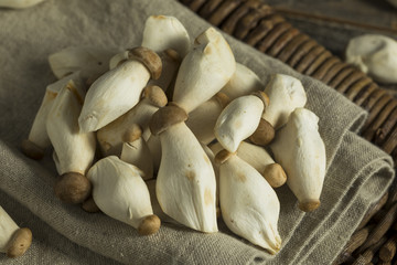 Raw Organic Baby King Oyster Mushrooms