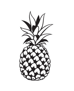 black image of pineapple tropical fruit