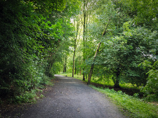 summer countryroad,Northern Ireland