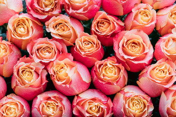 Bouquet Of Beautiful Pink And Yellow Roses.