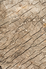 Dark texture of old natural wood with cracks from exposure to sun and wind
