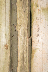 texture of old natural wooden logs with cracks from exposure to sun and wind