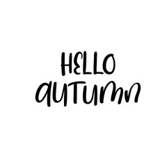 Hello Autumn calligraphy inscription. Autumn greeting card, postcard, card, invitation, banner template. Vector brush calligraphy. Autumn hand lettering typography.