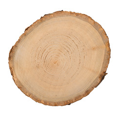 Fototapeta premium Wood log slice