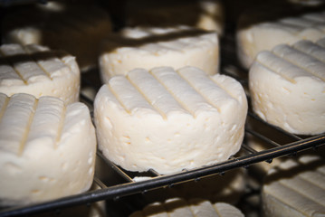Fresh cheese in a cheese factory