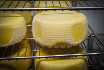 Fresh cheese in a cheese factory