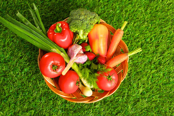 Fresh vegetables in a plate on the grass. Healthy food. Diet