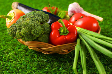 Fresh vegetables in a plate on the grass. Healthy food. Diet