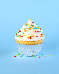 Single iced cupcake with colorful sprinkles