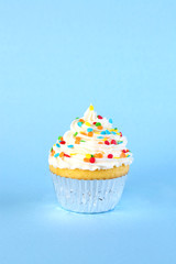 Single iced cupcake with colorful sprinkles