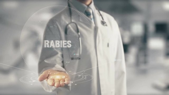 Doctor holding in hand Rabies