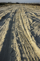 Tire Tracks and Footprints on the Beach