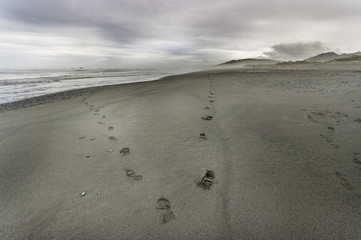 Divergent Footprints on the Beach