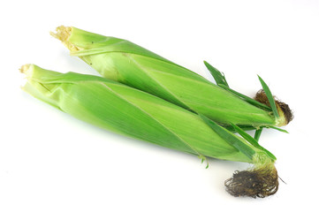 fresh raw corn cob with husk on white background