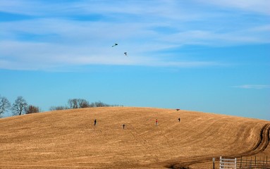 People Flying Kites in Field Hillside Open Winter Early Spring