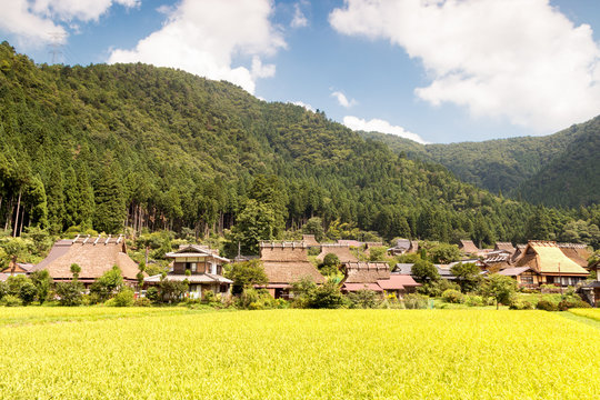 รูปภาพMiyama เลือกดูภาพถ่ายสต็อก เวกเตอร์ และวิดีโอ467 Adobe Stock