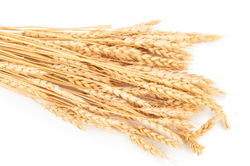 Ears of wheat