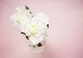 Beautiful White Silk Rose Flowers on a Pink Background