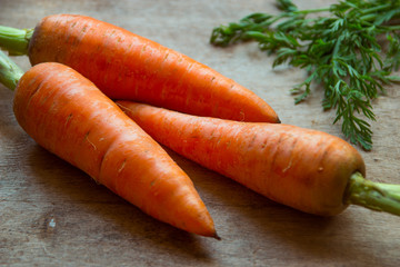 Young fresh carrots on wooden background. Organic natural food