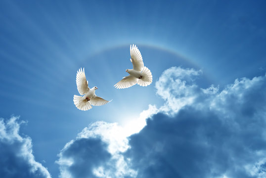 Doves in the air symbol of faith over shiny background