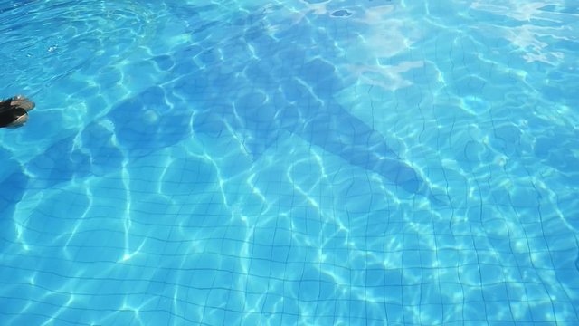 Brunette slim beautiful woman swimming underwater in the pool in slow motion. 1920x1080