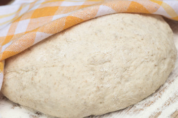 raw bread or pizza dough closeup